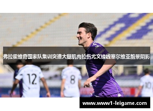 弗拉霍维奇国家队集训突遭大腿肌肉拉伤尤文锋线塞尔维亚前景阴影 弗拉霍维奇国家队集训突遭大腿肌肉拉伤尤文锋线塞尔维亚前景阴影